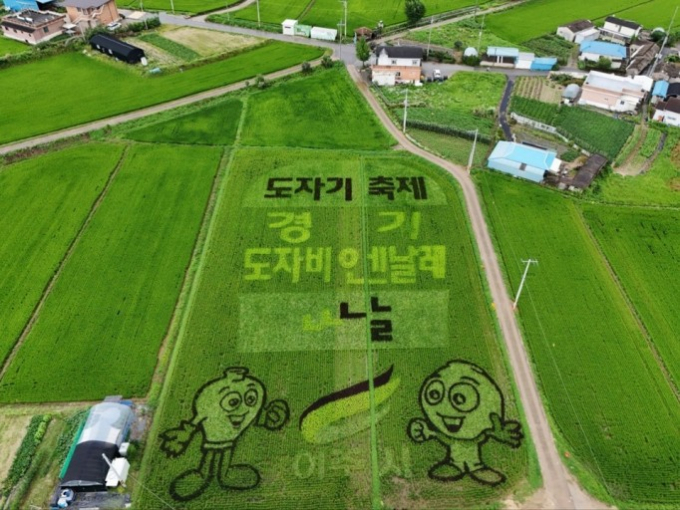 여주시가 다양한 색상의 유색 벼를 이용해 만든 논그림 모습. / 사진제공=여주시 