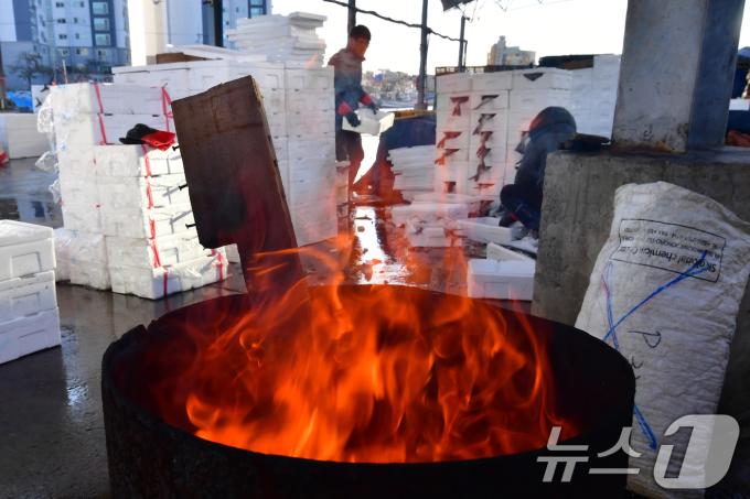 6일 오전 경북 포항시 북구 죽도어시장에서 상인들이 쌀쌀해진 날씨에 모닥불을 피워 놓고 작업을 하고 있다. 이날 포항 지역 최저기온은 6도를 기록했다. 2024.11.6/뉴스1 ⓒ News1 최창호 기자