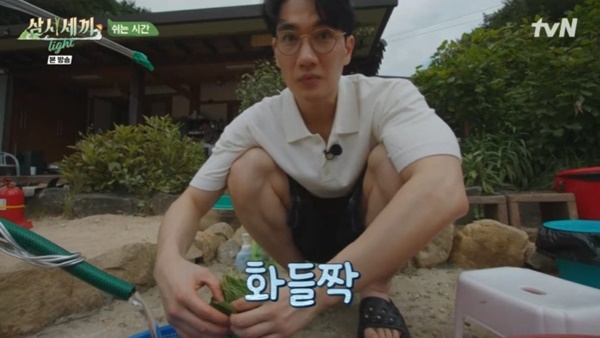 tvN '삼시세끼 라이트'