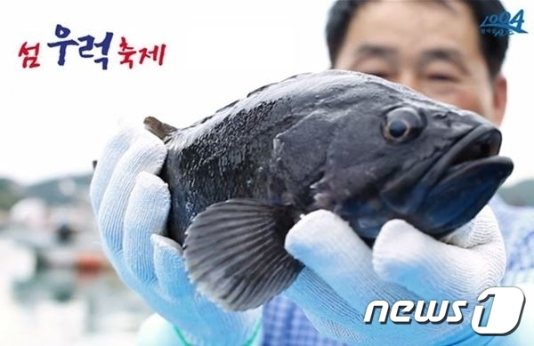                                    신안 섬 우럭축제 홍보물/뉴스1