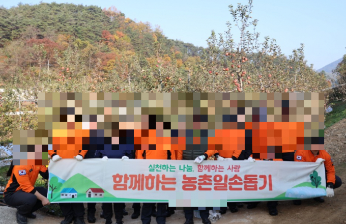 사과수확을 돕기 위해 소방행정직 근무자들이 과수원 현장에 모였다./사진=경상북도