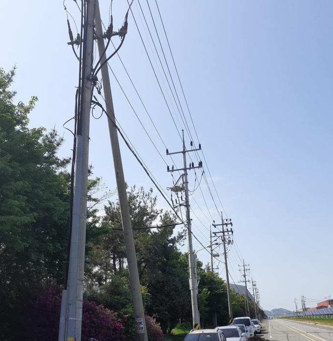                                                  대불산단 내 전신주/전남도