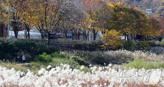 21일 전북자치도 전주시 전주한옥마을 전주천변에서 시민들이 산책을 하고 있다. 2024.11.21/뉴스1 ⓒ News1 유경석 기자