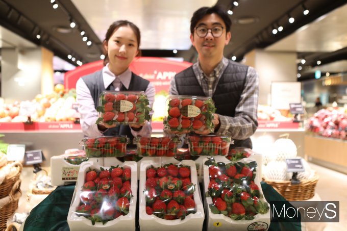 롯데백화점 광주점 지하1층 청과매장 직원들이 올해 첫 수확한 햇 딸기를 선보이고 있다/사진=롯데백화점 홍보 3팀 제공.