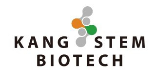 [특징주] 강스템바이오텍, 세계 최초 혈관 오가노이드 내 동맥경화증 표현형 재현 성공에 강세