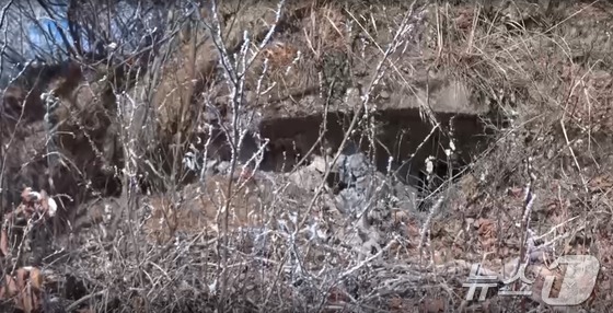 북한 '파괴 GP'에서 발견된 총안구 추정 콘크리트 구조물.(유용원 의원실 제공)