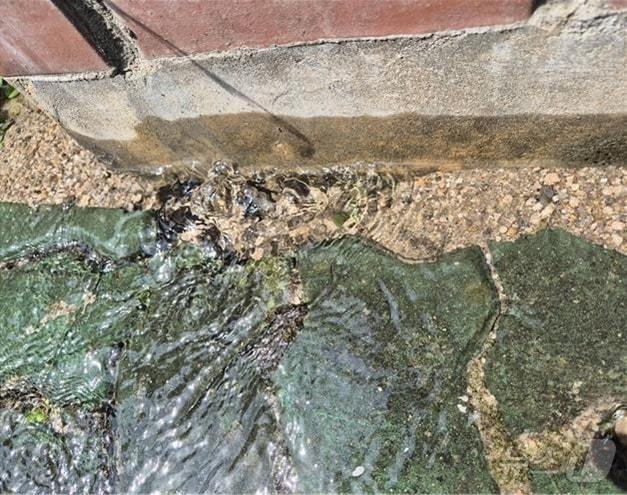 하반기 최우수로 선정된 수도관 파열 의심 신고. (서울시 제공)ⓒ 뉴스1