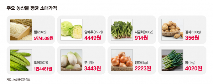 무 값이 평년 대비 79.5% 올랐다. /그래픽=강지호 기자
