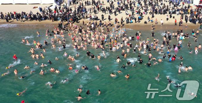 8일 부산 해운대해수욕장에서 열린 제37회 해운대 북극곰축제에서 참가자들이 차가운 겨울 바다에 뛰어들고 있다. (부산일보 제공) 2024.12.8/뉴스1 ⓒ News1 윤일지 기자
