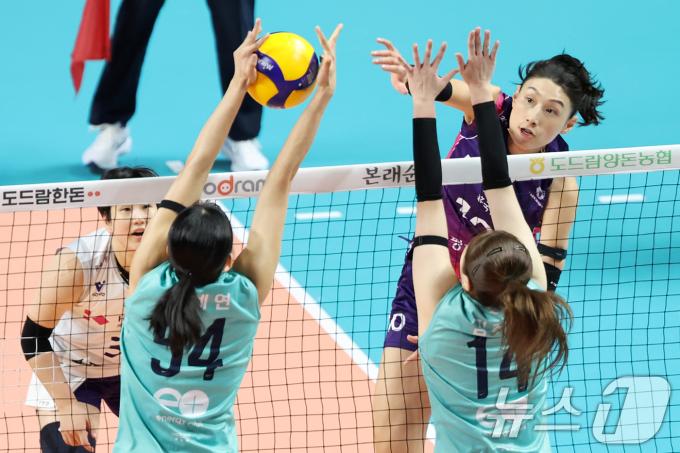 28일 오후 서울 중구 장충체육관에서 열린 프로배구 '도드람 2024-2025 V-리그' 여자부 GS칼텍스 서울KIXX와 흥국생명 핑크스파이더스의 경기에서 흥국생명 김연경이 공격을 시도하고 있다. 2024.11.28/뉴스1 ⓒ News1 민경석 기자