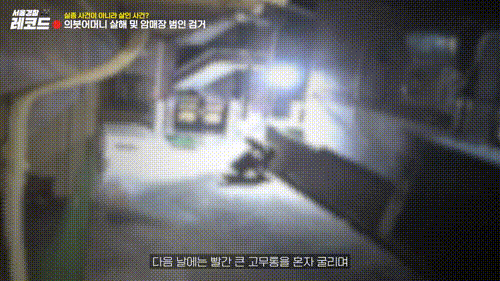 (서울경찰 유튜브 갈무리)
