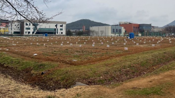 경기지역 한 도시 텃밭 모습