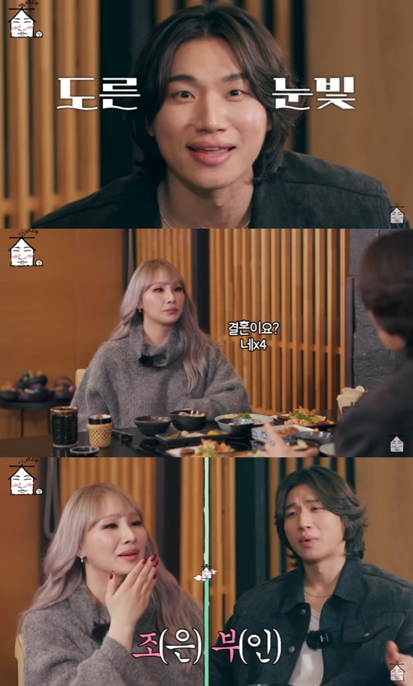 유튜브 채널 '집대성' 캡처