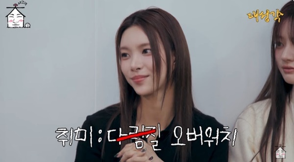 유튜브 채널 '집대성' 캡처