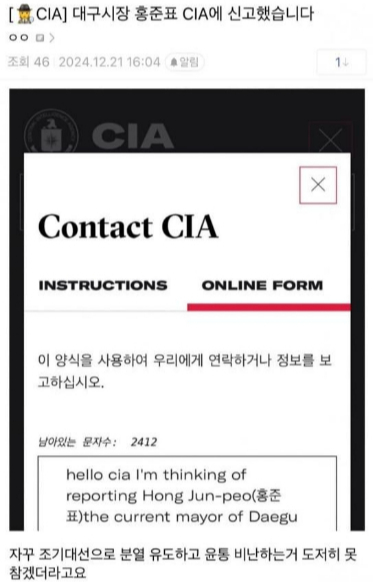 국민의힘 소속 홍준표 대구시장이 미국 중앙정보국에 신고당했다. /사진=온라인 커뮤니티 갈무리