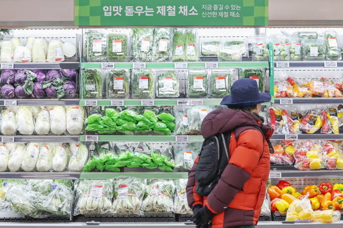 대한상공회의소의 2025년 유통산업 전망조사에 따르면 내년 국내 소매시장이 0.4% 성장에 그칠 것으로 집계됐다./사진=뉴스1