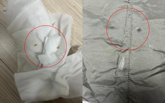 중고 거래한 패딩에서 애벌레 여러 마리가 발견됐다는 사연이 전해졌다. /사진=온라인 커뮤니티 갈무리