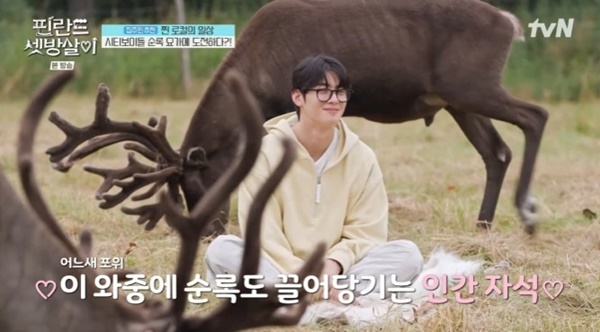 tvN '핀란드 셋방살이'