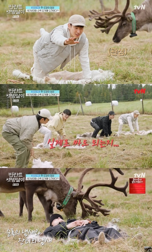 tvN '핀란드 셋방살이'