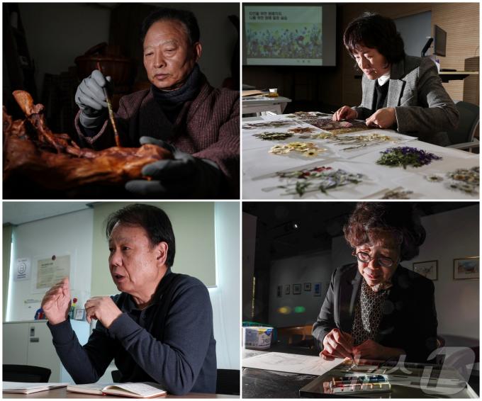 초고령사회를 맞이한 대한민국에서 제2의 삶을 살고 있는 시니어들을 만나봤다. 왼쪽 위부터 시계방향으로 뿌리공예가 김경완 씨, 압화작가 이영애 씨, 여행그림작가 이선양 씨, 시니어IT 회사 '에버영피플' 김종묵 파트장. 2024.12.31/뉴스1
