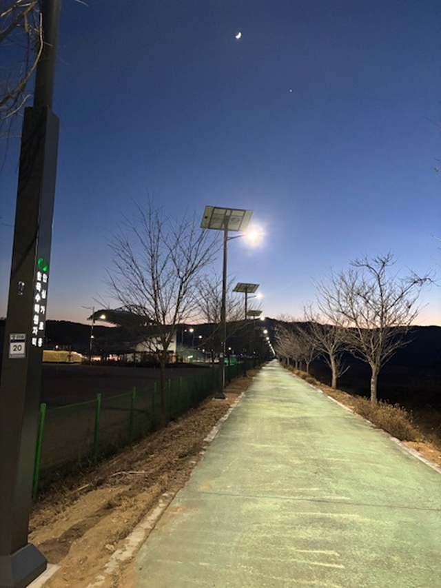 군위군이  군위읍 내량리 군위종합운동장 주변 도로에 설치한 '태양광 가로등'/사진제공=대구 군위군