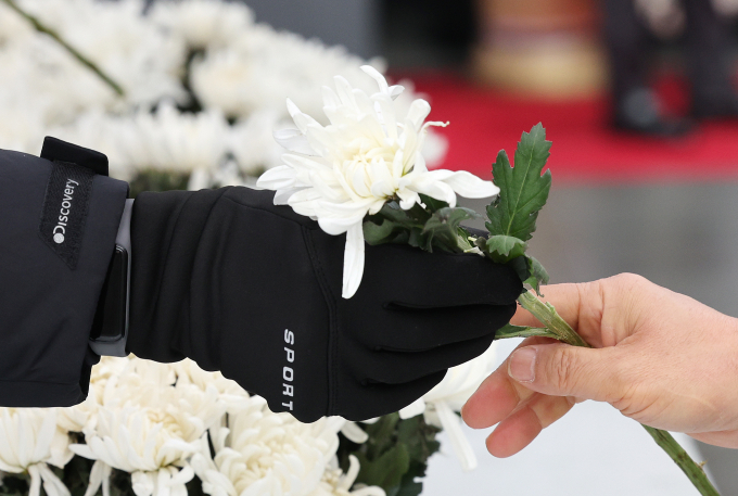 네이버와 카카오가 무안 제주항공 참사 관련 건전한 추모 문화를 조성하기 위해 적극 나섰다. 사진은 지난 5일 서울 중구 서울시청 앞에서 마련된 제주항공 사고 희생자 합동분향소에 추모 행렬이 이어지고 있는 모습. /사진=뉴스1