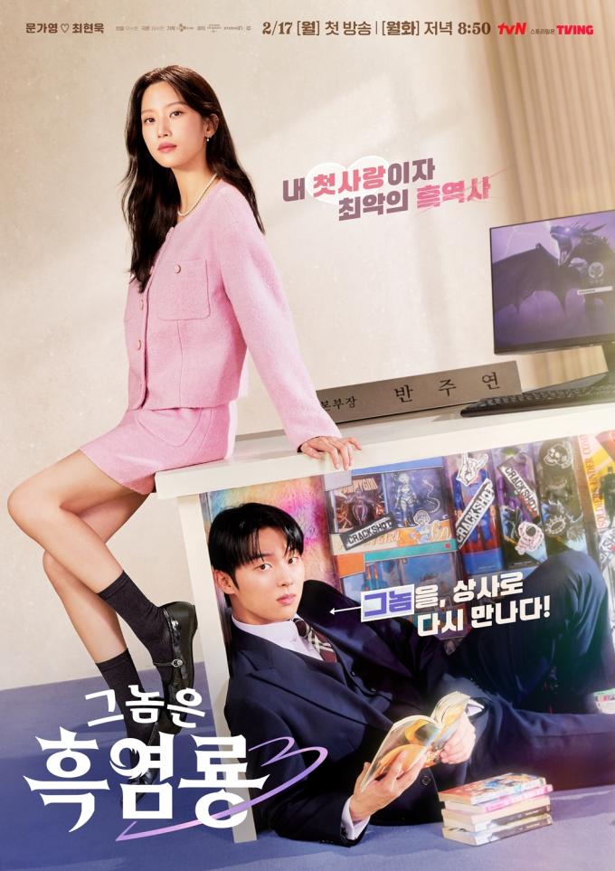 tvN '그놈은 흑염룡'