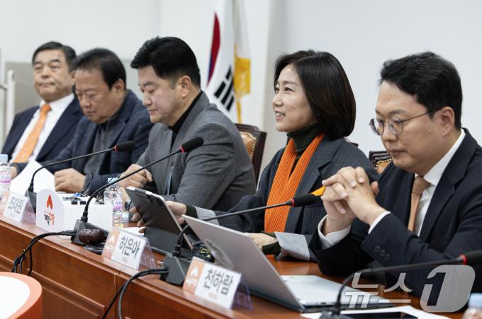 허은아 개혁신당 대표가 13일 오전 서울 여의도 국회에서 열린 최고위원회의에서 발언을 하고 있다. 2025.1.13/뉴스1 ⓒ News1 이재명 기자