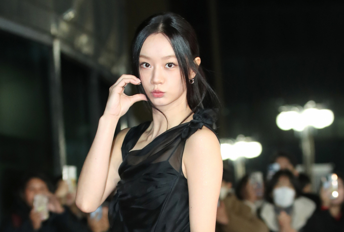 가수 겸 배우 혜리가 형사 고소 진행 소식을 전했다. 사진은 지난해 11월 서울 영등포구 여의도 KBS홀에서 열린 제45회 청룡영화상 시상식에 참석한 혜리. /사진=뉴스1