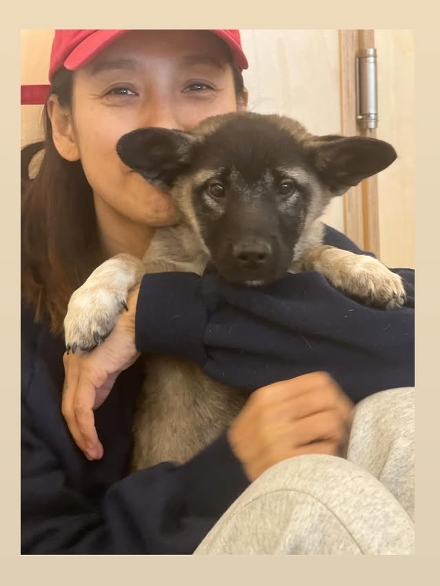 이효리 SNS