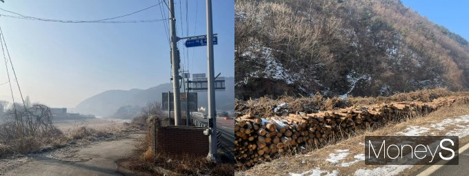 우핑을 가는 길은 설렘과 두려움으로 가득 찼다. 홍천의 적막한 도로./사진=박정은 기자