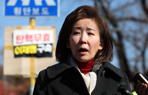 나경원 국민의힘 의원이 면회 당시 윤석열 대통령이 설명한 비상계엄 선포의 결정적인 이유에 대해 전했다. 사진은 윤석열 대통령과 면회를 마친 나경원 국민의힘 의원이 취재진 질문에 답변하는 모습. /사진=뉴시스