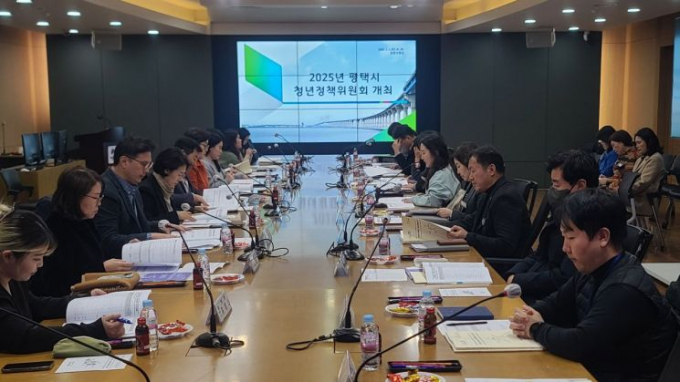 평택시가 지난 4일 개최한 청년정책위원회에서 위원들이 올해 주요 사업 시행계획을 심의하고 있다. /사진제공=평택시