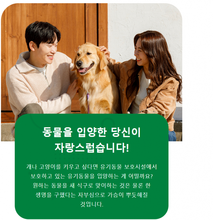 김해시가 유기견 입양비 지원사업을 추진한고 있다. 지원한도는 1마리당 최대 15만원이다./사진=김해시