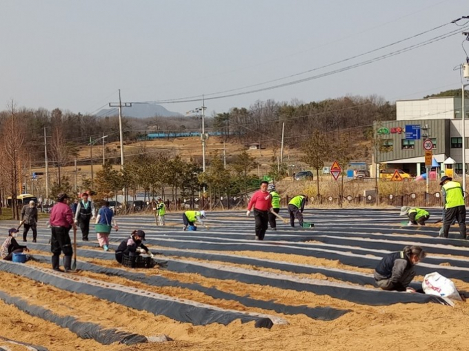 안성맞춤랜드'공공텃밭' 모습. / 사진제공=안성시
