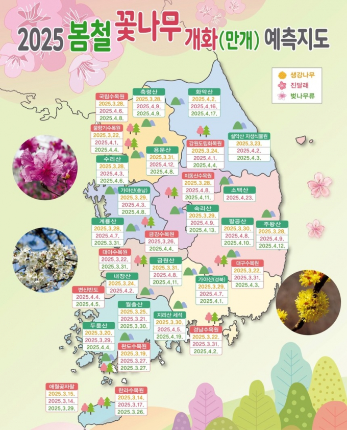 산림청이 2025년 봄철 꽃나무 예측지도를 발표했다. 사진은 산림청이 공개한 '2025년 봄철 꽃나무 개화 예측지도'. /사진=뉴스1(산림청 제공)