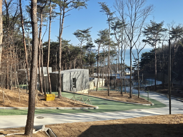 덕적도 자연휴양림. /사진제공=옹진군