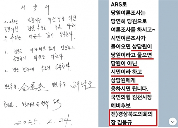 경북 김천시장 재선거에 특정후보 지지자가 여론을 조작하려는 시도에 시민들의 질타가 이어지고 있다/사진제공=머니S 독자제공
