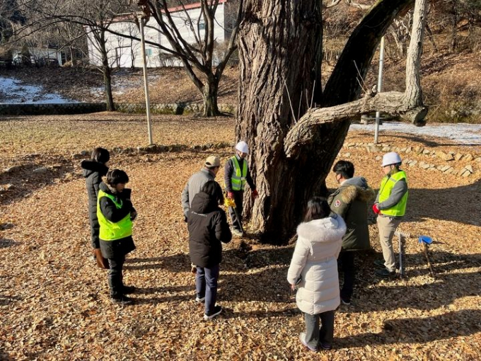 국립산림과학원 강진택 박사와 구리시 관계자 등이 현장 조사를 하고 있다. /사진제공=구리시 