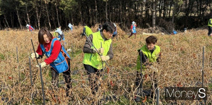  농협전남본부는 6일 농가주부모임전남도연합회 희망드림봉사단, 농협영광군지부 등 40여명과 함께 전남 영광군 일원에서 영농폐기물 수거활동을 실시하고 있다/사진=농협전남본부 제공.