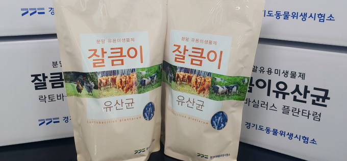 면역력이 향상돼 조류인플루엔자를 비롯한 질병을 예방할 수 있는 '잘큼이' 유산균. /사진제공=경기도동물위생시험소