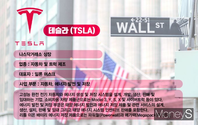 사진은 테슬라 기업 정보. /그래픽=김은옥 기자