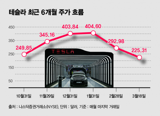 사진은 테슬라 주가 흐름표. /그래픽=김은옥 기자