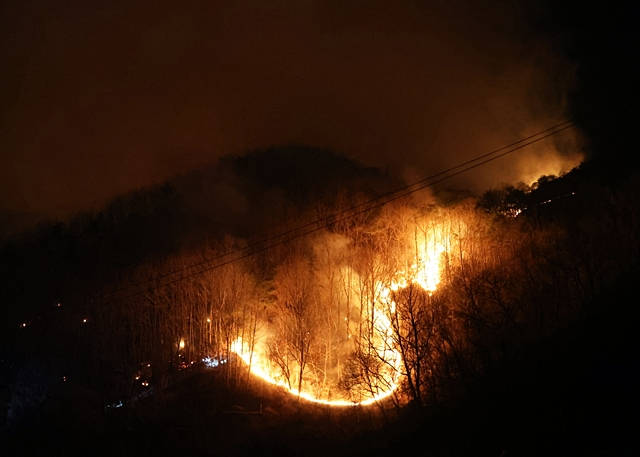 영양으로 확산된 의성 산불./사진제공=경북 영양군