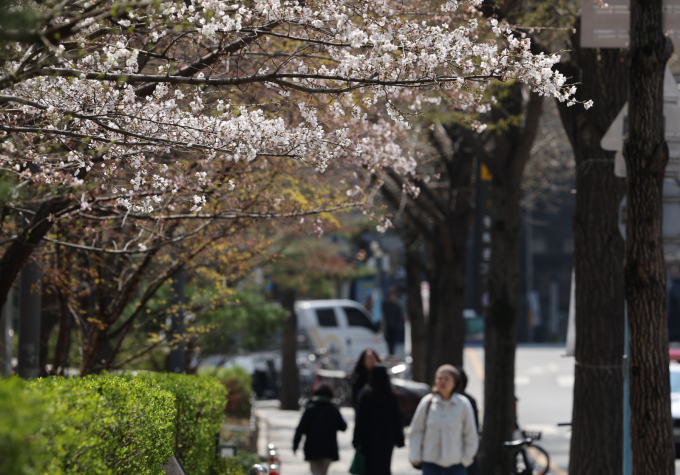 7일 전국적으로 낮 기온이 20도 안팎까지 오를 전망이다. 사진은 지난 6일 서울 종로구 제종문화회관 인근 도로의 모습. /사진=뉴시스 
