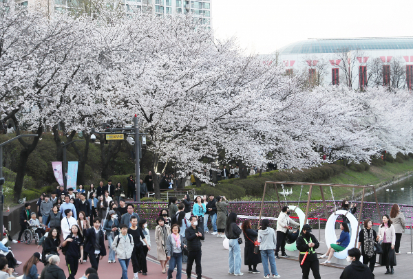 11일 전국 대체로 맑고 낮 최고 기온이 25도까지 오르겠다. 사진은 지난 8일 서울 송파구 석촌호수공원 모습. /사진=뉴스1