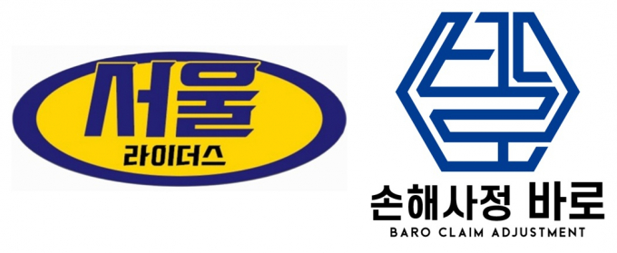 ./그래픽=바로손해사정 