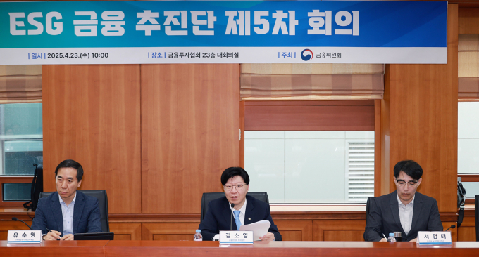 김소영 금융위원회 부위원장이 23일 서울 여의도 금융투자협회에서 개최한 ESG금융추진단 5차 회의에서 발언하고 있다./사진=금융위