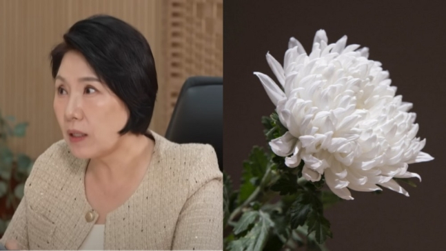전 축구선수 강지용이 갑작스럽게 세상을 떠난 가운데, 그가 출연했던 프로그램인 '이혼숙려캠프'에서 부부 상담을 맡았던 이호선 숭실사이버대 교수가 애도의 뜻을 전했다. /사진=JTBC '이혼숙려캠프' , 이호선 교수 인스타그램
