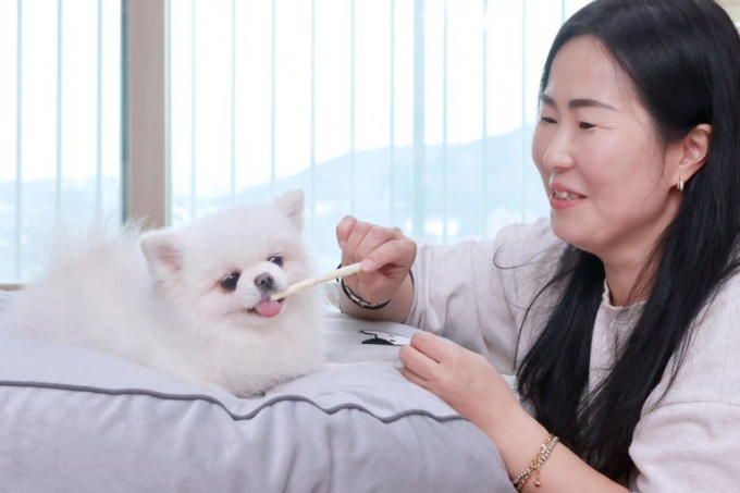 경기도가 유기동물 입양자를 대상으로 반려동물 보험(펫보험) 가입을 지원하는 '경기도 입양동물 안심보험 무한돌봄 지원사업' 신규 가입자 모집을 시작했다. /사진제공=경기도